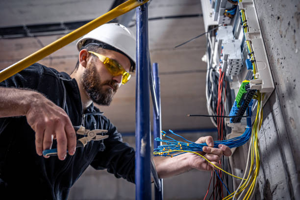 Best Electrical Wiring Services  in Montrose, MI